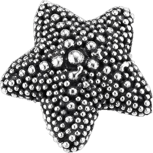"Mini Starfish" slide charm